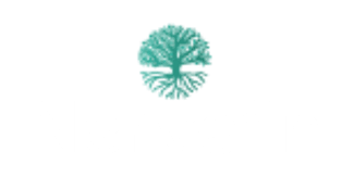 Nervetin nav logo